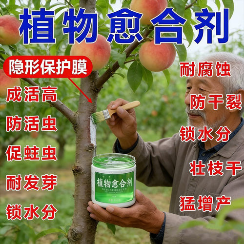 树木大树伤口愈合果树涂抹剂植物涂膜盆景树枝嫁接封口补剂专用