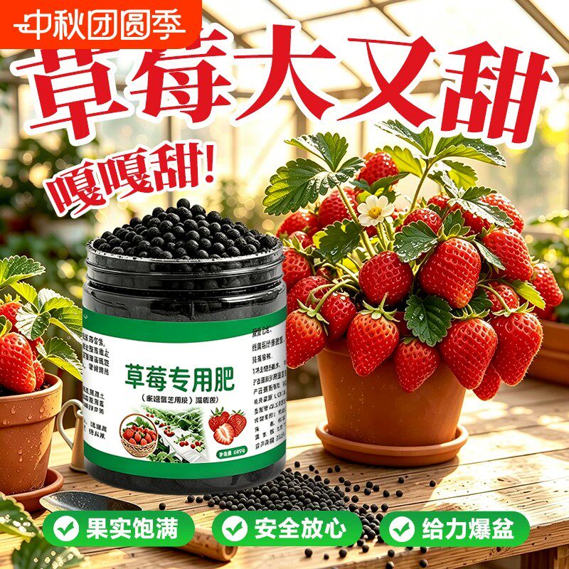 草莓专用有机营养液坐果促果