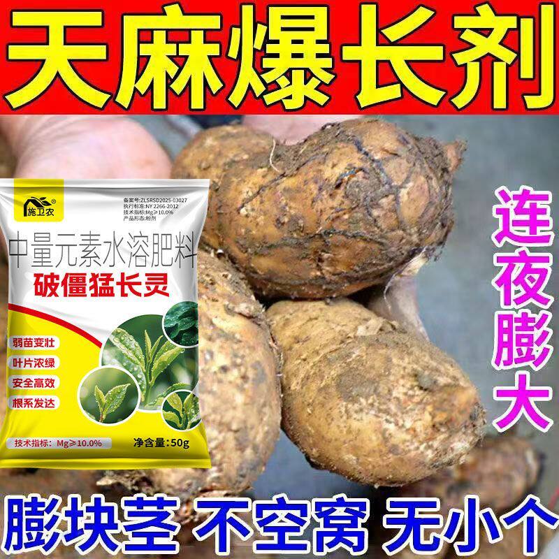 施卫农生姜破僵猛涨生根增产剂