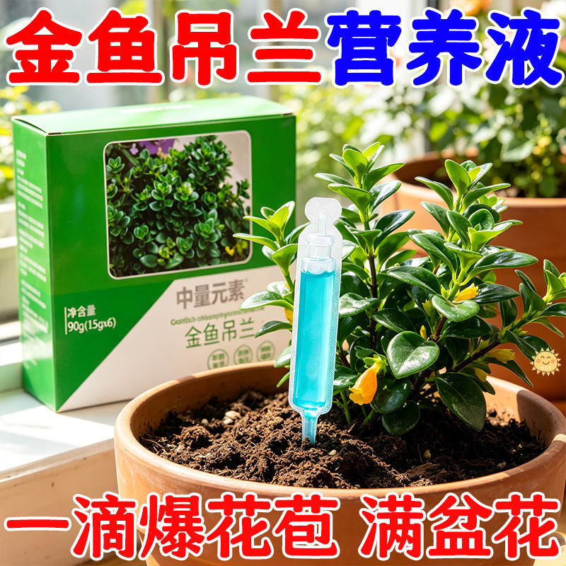 【1.9元1盒】清仓盒装金鱼吊兰营养液专用肥灌根喷叶花苞增多