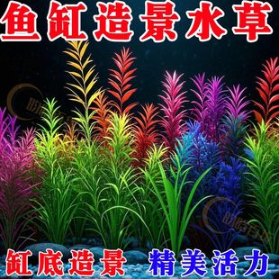 饰仿真水草塑料草水族造景水族箱龟缸摆件 鱼缸造景装 不挑水质