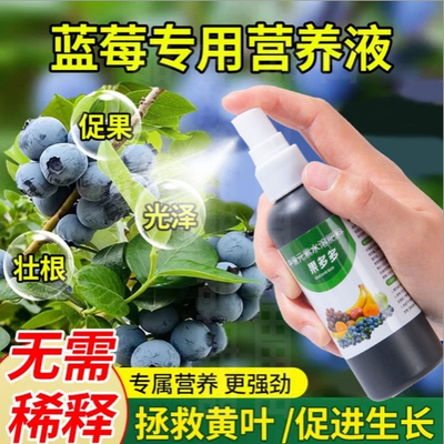 蓝莓专用浓缩型营养液植物通用型家用果树盆栽层天挂果蓝莓肥料