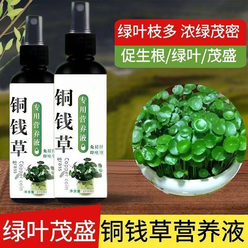 【铜钱草水养】专用肥铜钱草营养液水培专用绿叶生根壮苗快速爆盆
