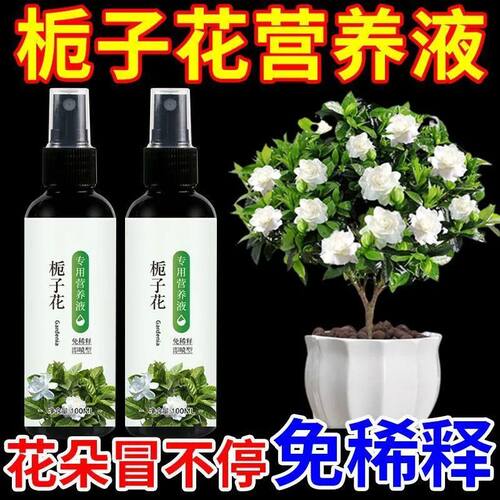 栀子花营养液黄叶救星催花爆盆增色增艳阳台盆栽专用促花防掉苞
