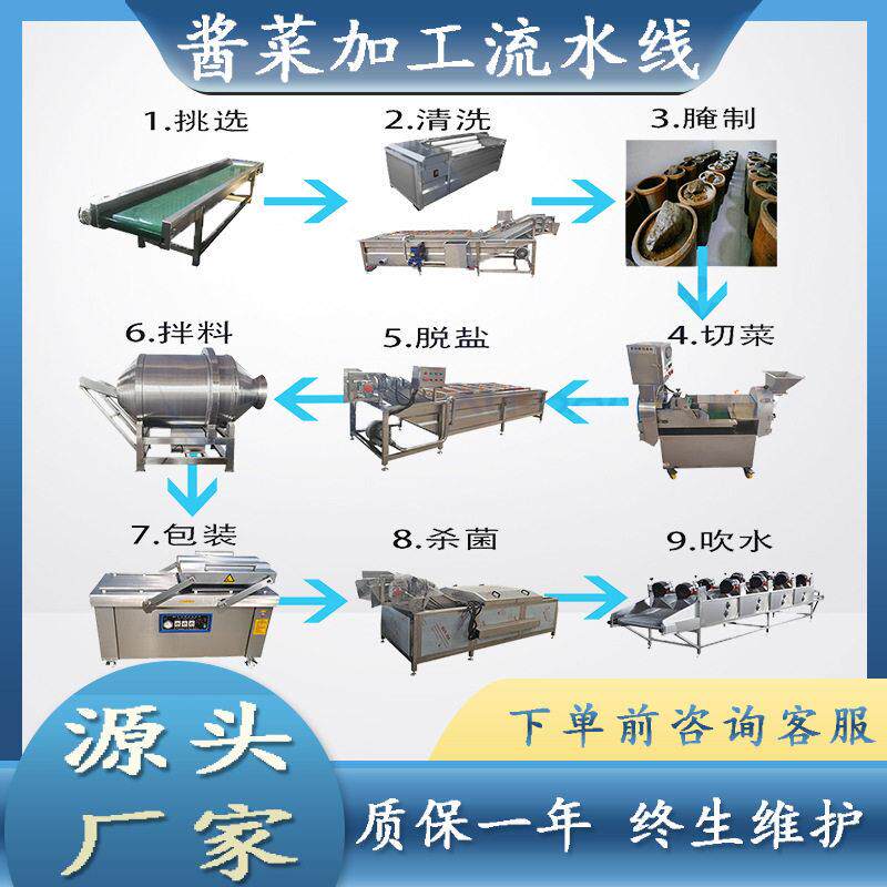 酱菜加工成套流水线商用小油菜气泡清洗机青菜花全自动气泡清洗机