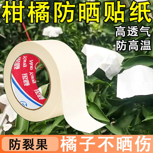 柑橘防晒贴纸水果脐橙防晒伤修复专用果树桔子柑桔防晒贴粑粑柑日灼耐高温胶带沃柑橘子太阳果高粘美纹纸