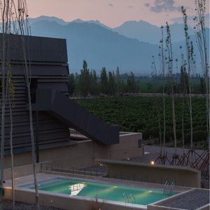 年终大促|大乐之野·夏多兰酒庄银川店2天1晚+特色活动