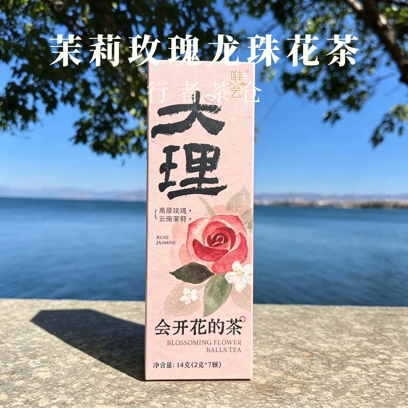 云南原产高原玫瑰云南茉莉