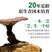 孢子油家庭装 贵州深山林下有机灵芝孢子粉 套装 华弘草芝堂