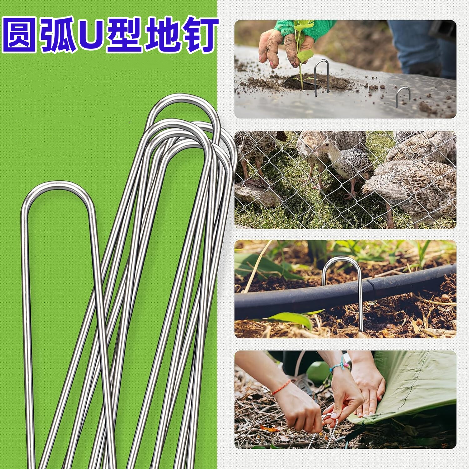 圆弧u型地钉滴灌带固定植物压枝图片