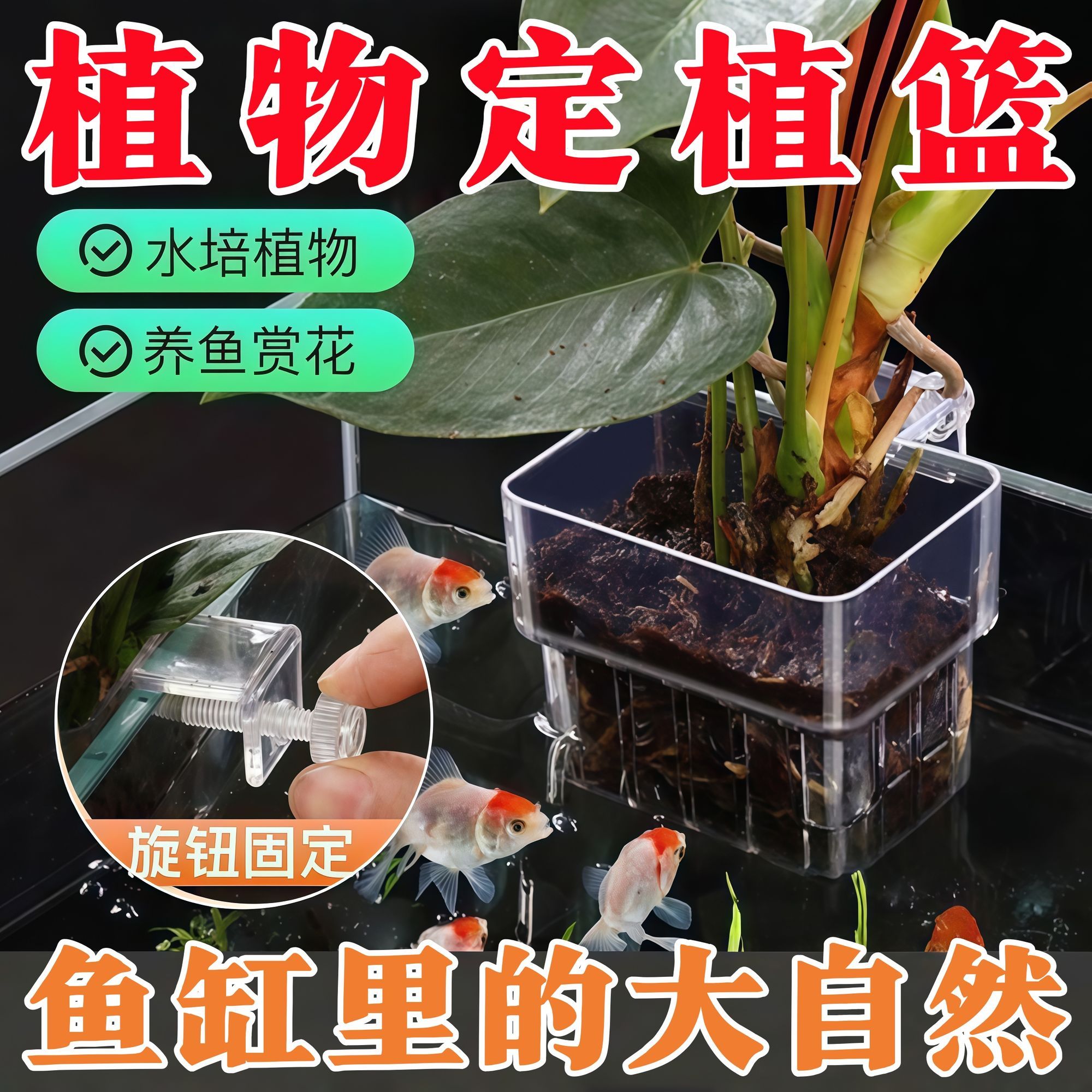 镂空花盆水培鱼缸水培定植篮水草种植杯壁挂式加厚家用透明水培篮