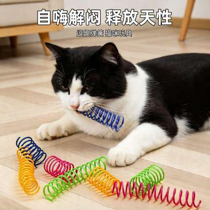 静音猫咪彩色塑料弹簧自嗨解闷猫玩具逗猫棒幼猫磨牙耐咬猫玩具球