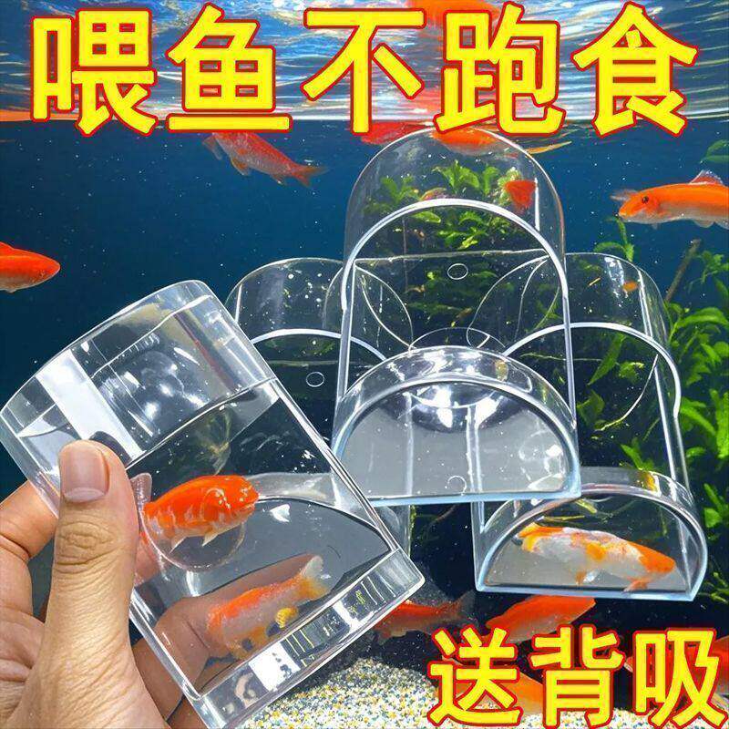 鱼缸亚克力小型定点投食器