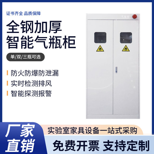 化验室气瓶柜安全柜实验室全钢防爆双瓶煤气罐乙炔带报警钢瓶柜子