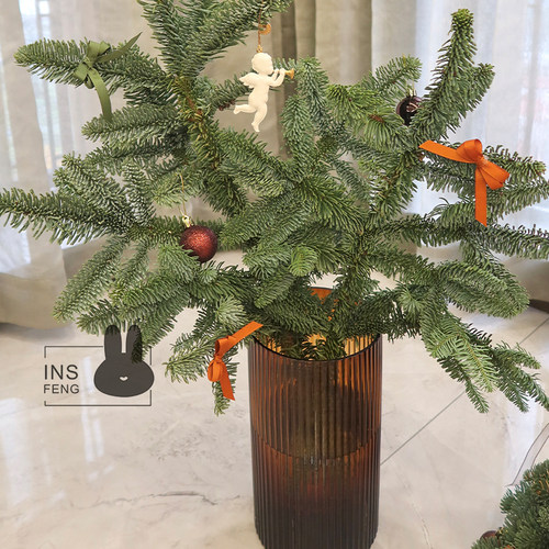 进口诺贝松切枝真圣诞树