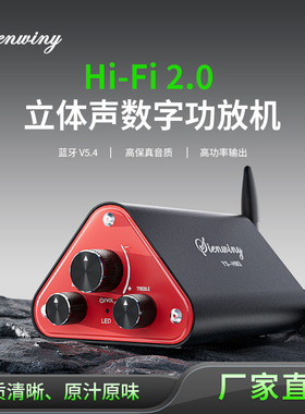 SIENWINY YS-HM3 Hi-FI2.0立体声音频放大器双声道50Wx2TPA3116