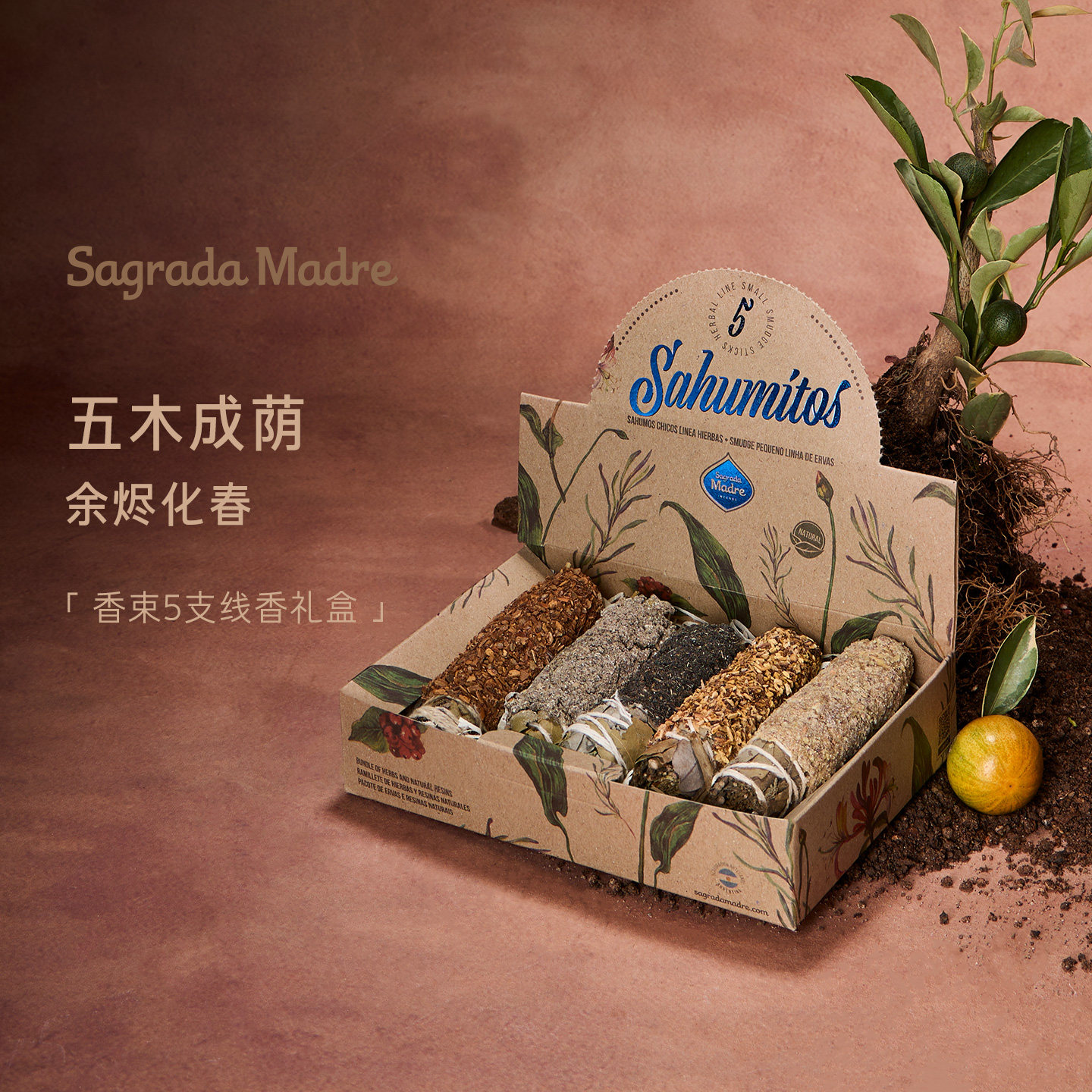 Sagrada Madre香束5支天然线香礼盒室内香薰伴手礼物圣马德雷