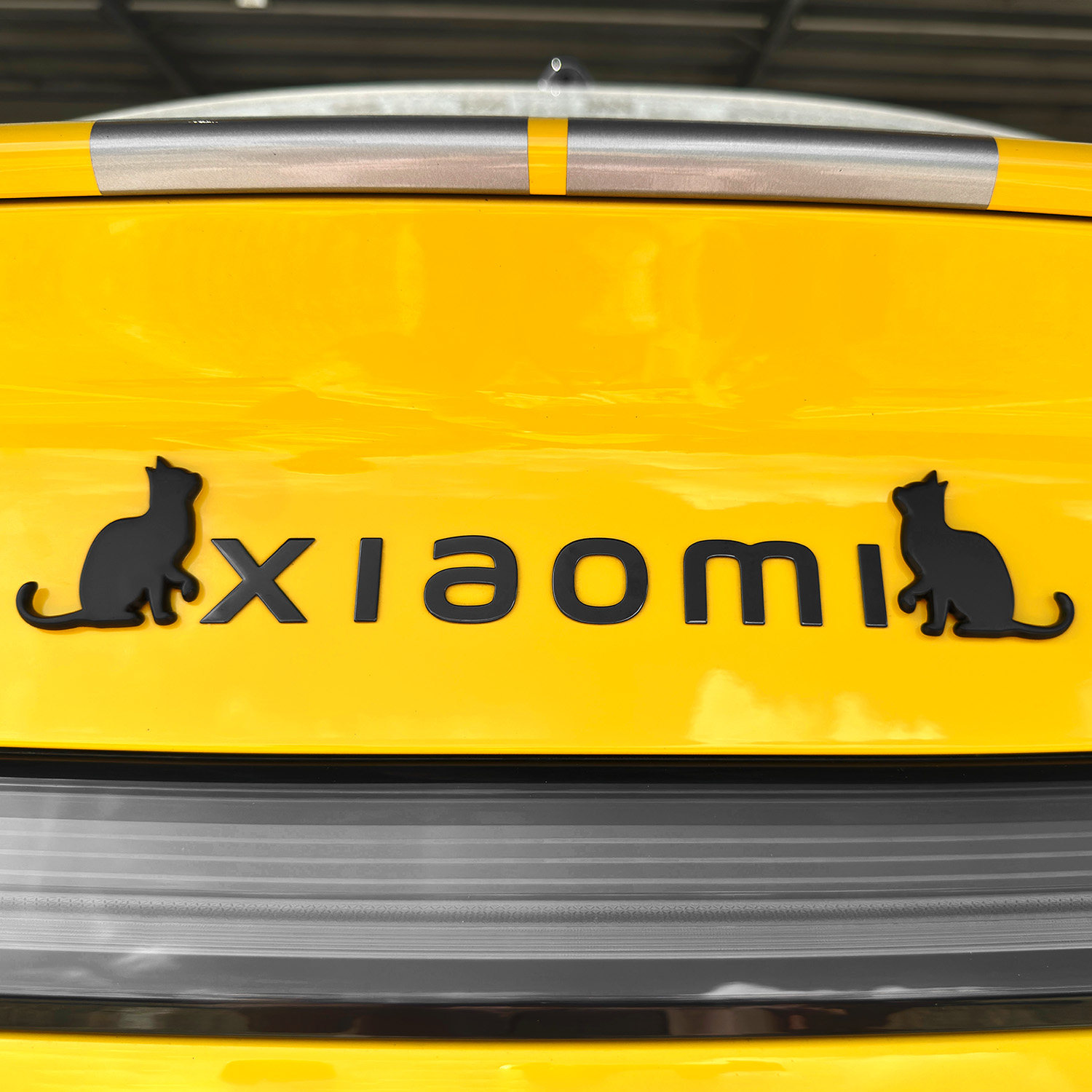 抬头猫立体3D创意金属可爱遮挡