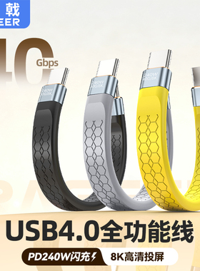 锐戟RAGEER雷电4/3全功能USB4快充40Gpbs短线240W软线适用苹果17