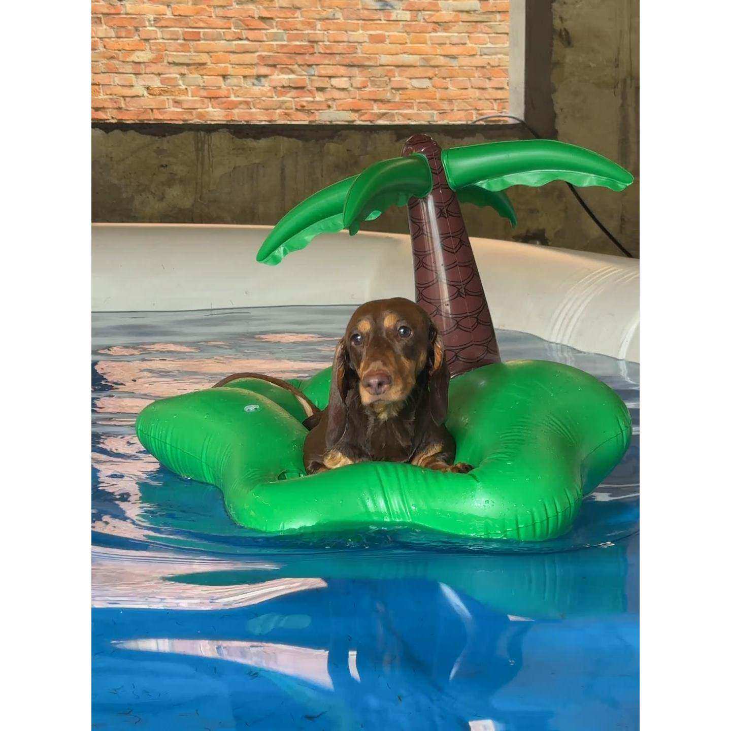 狗狗游泳圈宠物水上浮床中小型犬比熊泰迪户外便携椰子树充气床