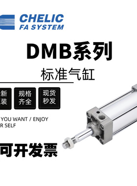 气立可标准气缸DMB/32/40/50/63/80/100*125*25*50*75*100*200*80