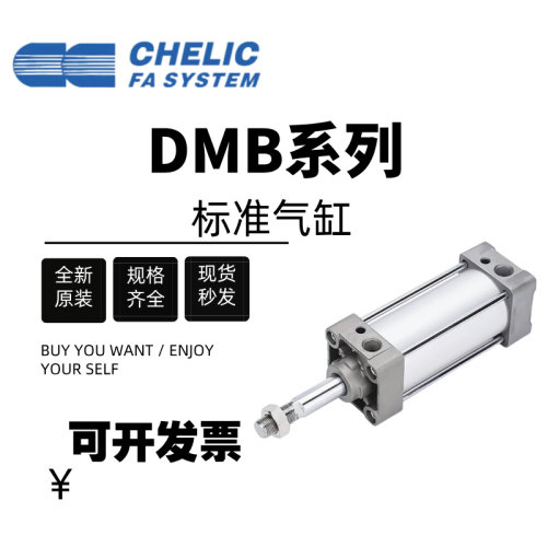 气立可标准气缸DMB/32/40/50/63/80/100*125*25*50*75*100*200*80
