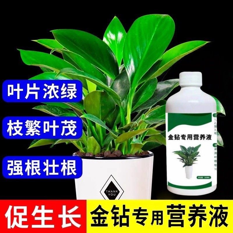 水量元素金钻专用营养液-zhx,鲜花速递/花卉仿真/绿植园艺,家庭园艺肥料,淘宝优惠券,粉丝福利购,淘宝优惠卷