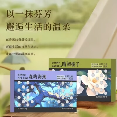 车载固体香薰持久留香除异味