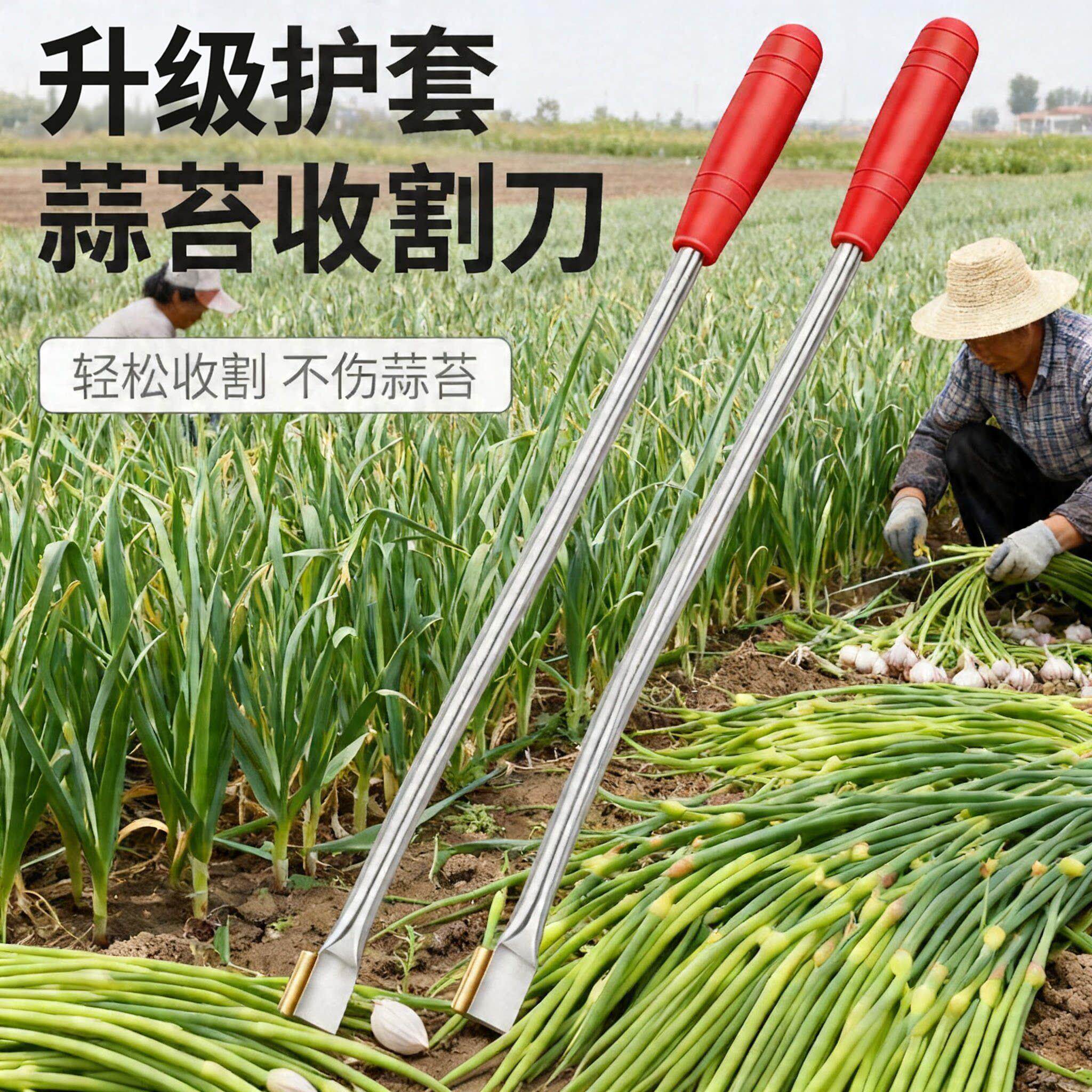 抽蒜苔神器农用工具蒜农收割刀新款划蒜苔刀拔摘剥打提蒜苔蒜苗台