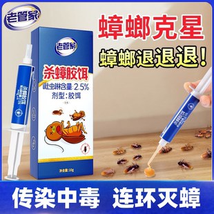 端非无毒屋厨房室内特效灭蟑胶饵剂神器 杀蟑螂药家用一锅全窝正品