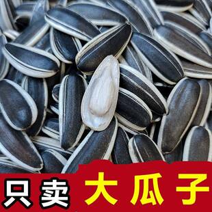 生瓜子葵花籽品种新货特大颗粒5斤现炒原味熟瓜子内蒙五原包邮