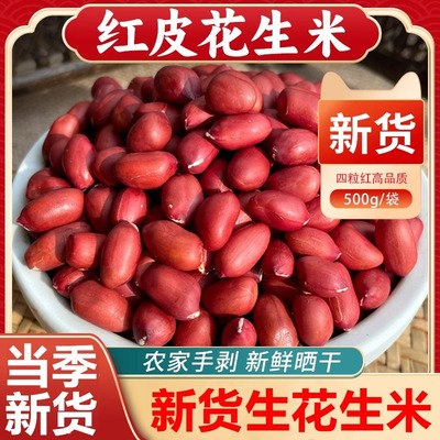 东北特产有机红衣花生米生新货补血农家高产种红皮花生官方旗舰店