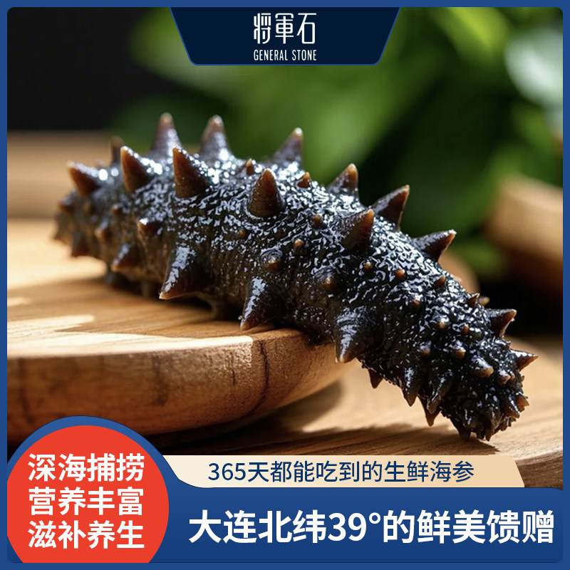 一分钱一分货!将军石大连海刺参即食海参一斤6-10只大补元气
