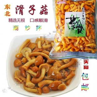 东北特产滑子菇滑子蘑精品滑子菇菇头清水保鲜袋装750克一袋包邮