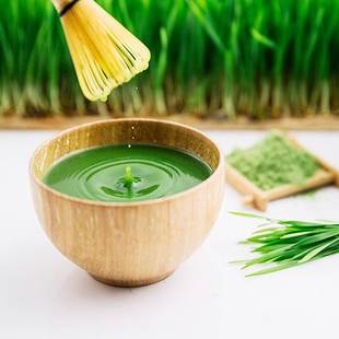 大麦若叶青汁粉青团上色纯大麦苗粉健身膳食纤维冲饮代餐粉猫草粉