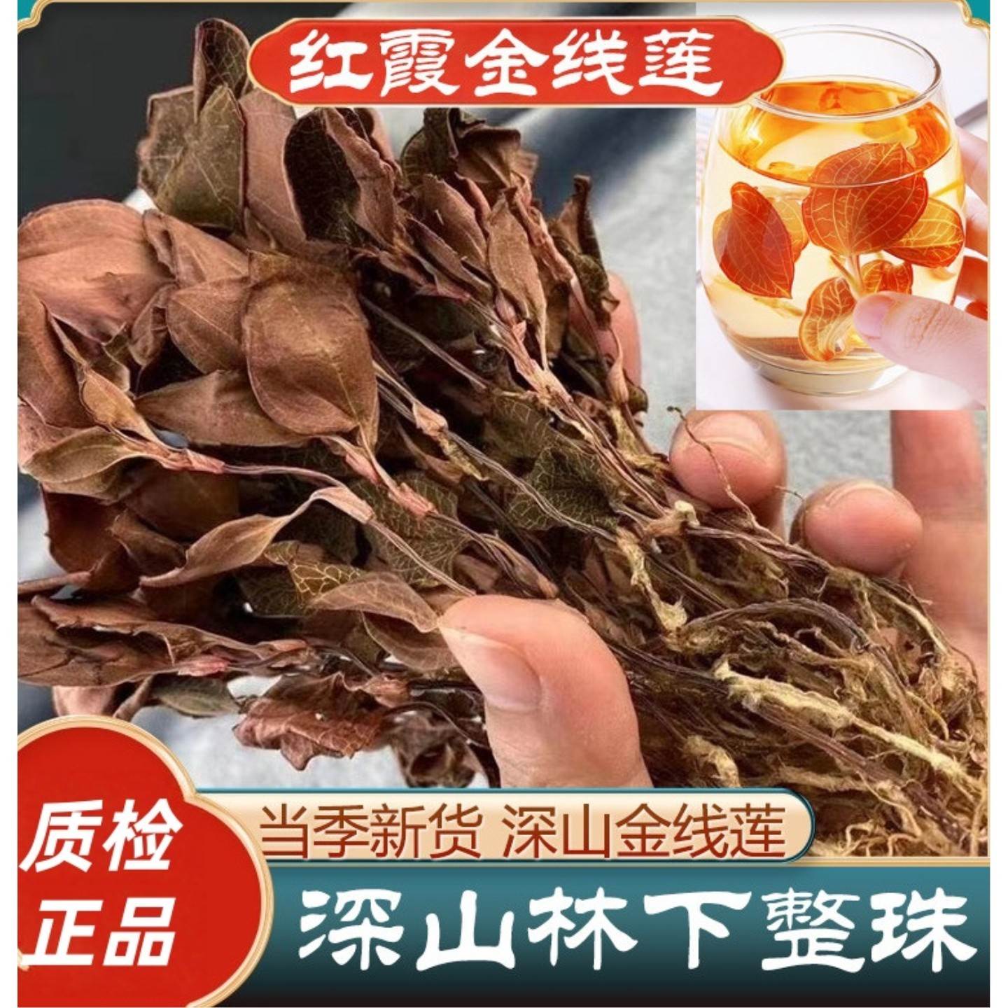 金线莲250g新货整株红霞深山林下非野生新鲜干货红霞金线莲干品
