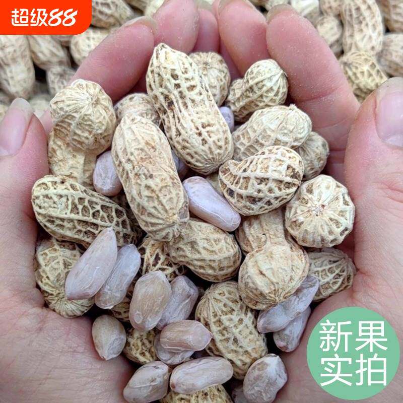 龙岩花生蒜香五香原味盐水白晒图片