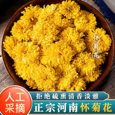 正宗河南焦作怀菊花云台冰菊雁门冰菊云台山菊花茶