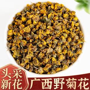 广西野菊花中药材500g野生小野菊花胎菊苦干米菊天然正品菊花茶
