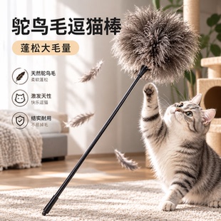 真鸵鸟毛逗猫棒猫玩具自嗨解闷神器消耗体力神器幼猫丰容玩具耐咬