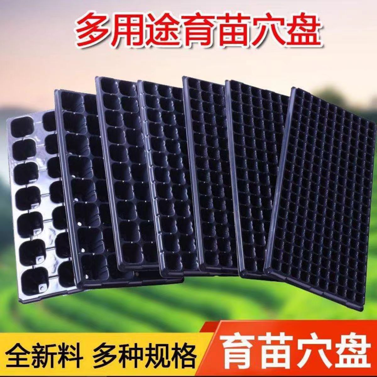 加厚超厚育苗盘辣椒西瓜玉米草莓