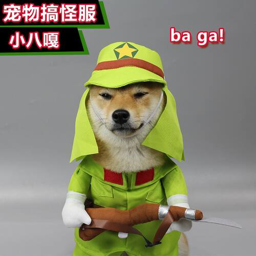 搞怪宠物狗狗小八嘎变身装 日本鬼子变身装 猫咪抖音搞笑八嘎衣服