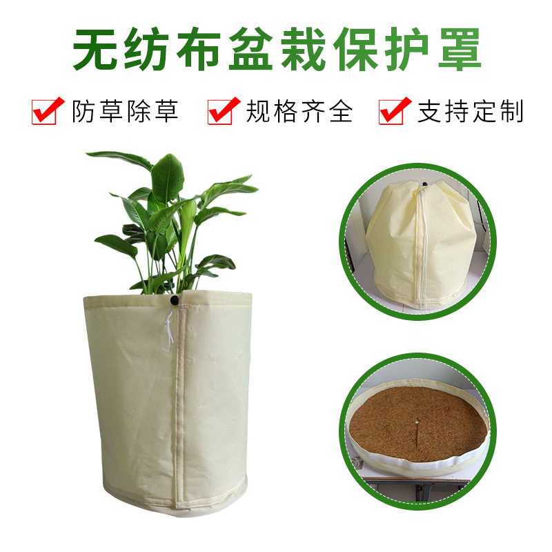 园林植物防霜防冻罩耐磨套树袋花