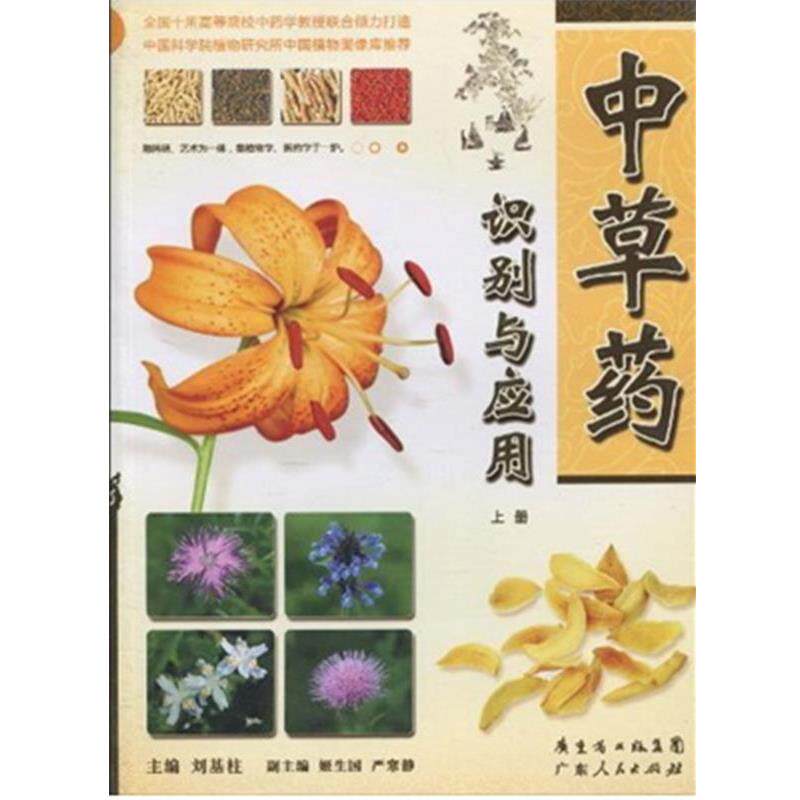 【正版书】 中草药识别与应用 刘基柱 著 广东人民出版社