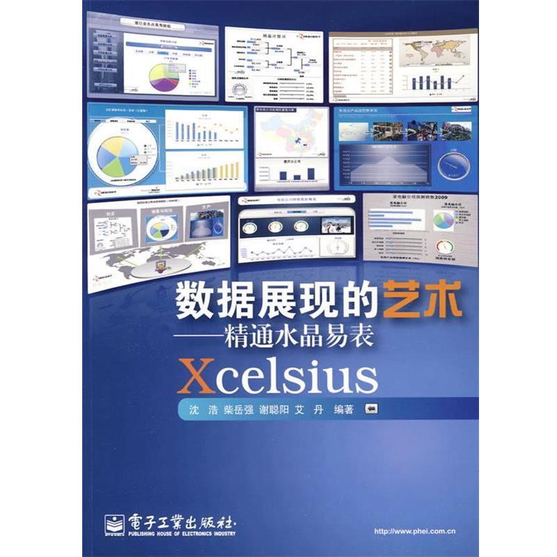 【正版书】 数据展现的艺术—精通水晶易表Xcelsius 沈浩 等编著 电子工业出版社
