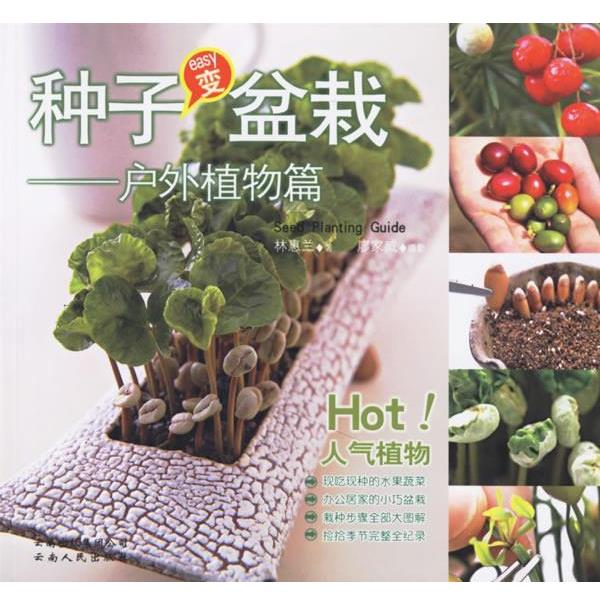 【正版书】 种子变盆栽:户外植物篇 林惠兰 著 云南人民出版社