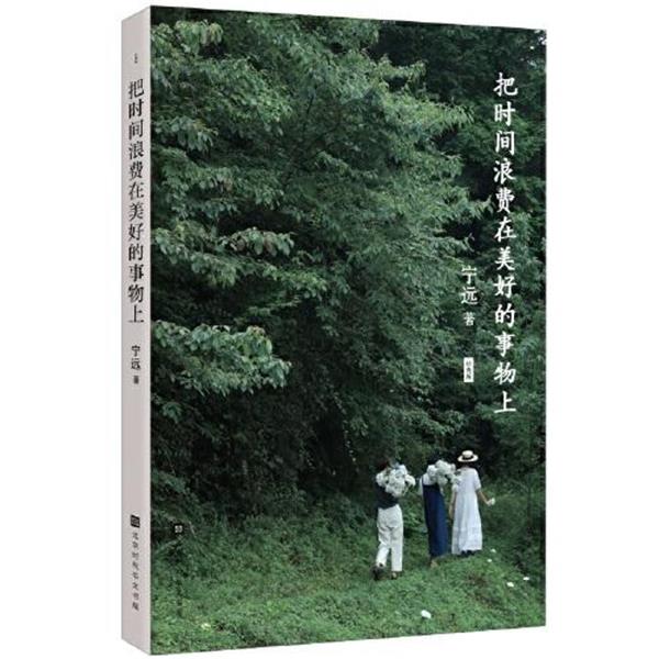 【正版书】 把时间浪费在美好的事物上 宁远 北京时代华文书局