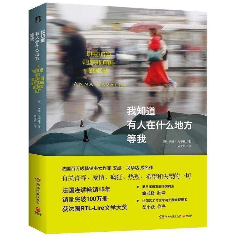 【正版书】 我知道有人在什么地方等我 安娜·戈华达 (Anna Gavalda), 金龙格 湖南文艺出版社