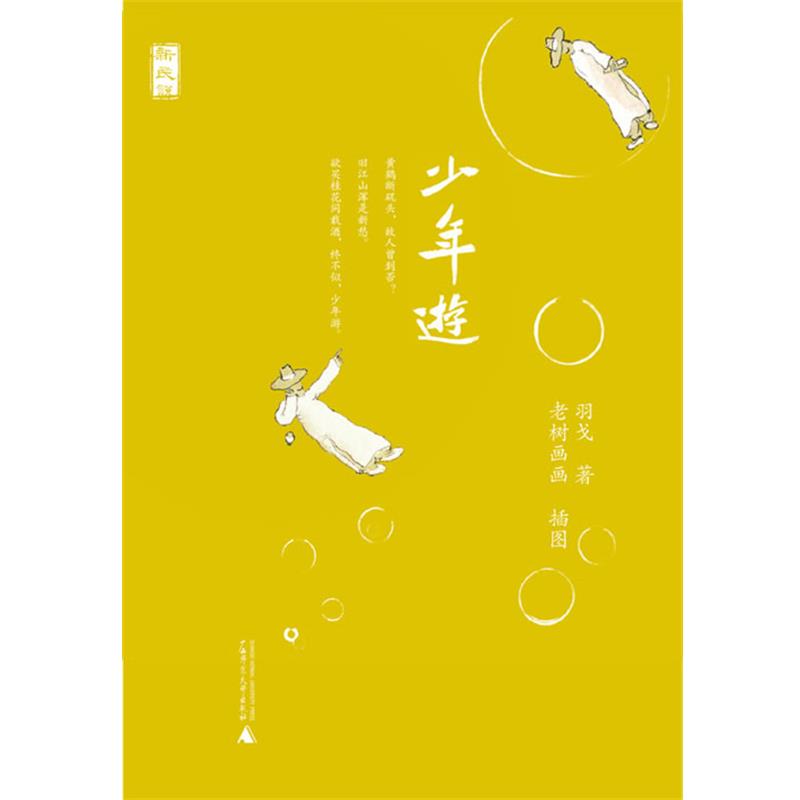 【正版书】 新民说 少年游 羽戈 广西师范大学出版社