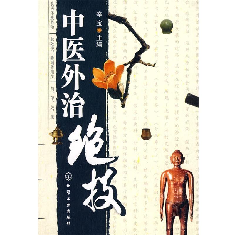 【正版书】 中医外治绝技 辛宝 主编 化学工业出版社